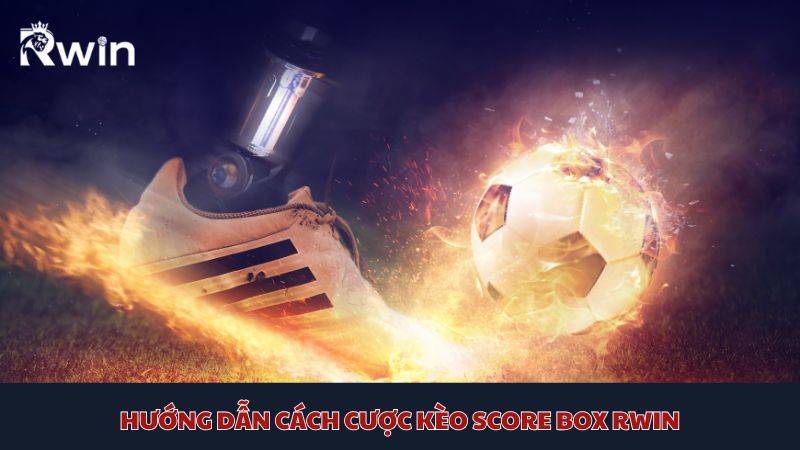 Hướng dẫn cho bạn tường tận cách bắt và lựa chọn kèo dễ dàng khi tham gia