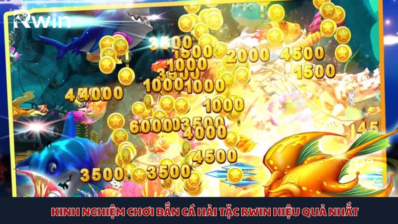 Những kinh nghiệm quý giá khi tham gia bắn cá Hải Tặc Rwin cho tân binh